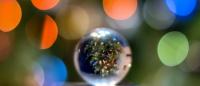 Foto de una bola de cristal con una imagen de un arbol de navidad dentro y rodeado de luces de navidad