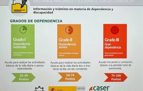Muestra del webinar Información y trámites en materia de dependencia y discapacidad por Alba Leva Díaz