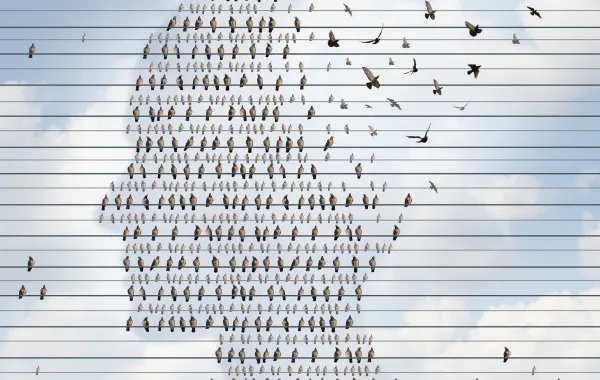 Foto de la cabeza de una persona con datos