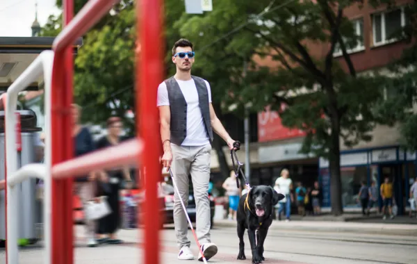 Foto de un chico joven invidente acompañado por su perro guía
