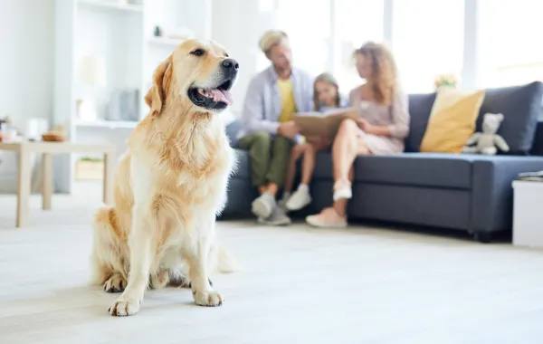 Foto de un perro en primer plano y por detrás una familia sentada en un sofá