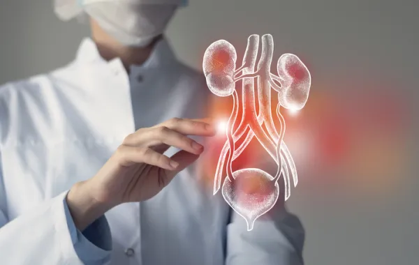 Foto de un medico  mirando una dibujo de unos riñones y una vejiga