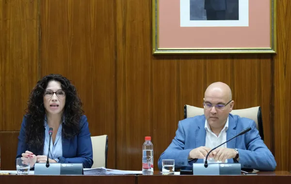 Foto de la responsable de politicas sociales de Andalucia en una conferencia sobre personas dependientes