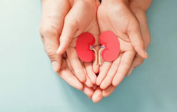 Fotos de dos manos superpuestas sosteniendo una imagen en cartulina de dos riñones