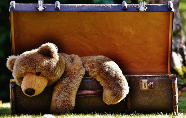 Foto de un oso de peluche metido en una maleta antigua