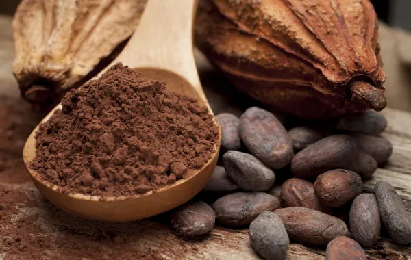 Foto con el cacao en forma de fruto y ya elaborado