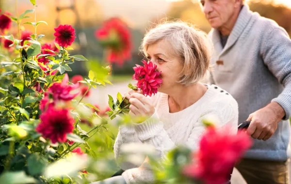 Foto de una mujer en silla de ruedas acompañado por una persona y van paseando