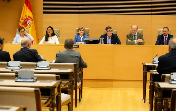 Foto de la ministra en una comisión del congreso de diputados