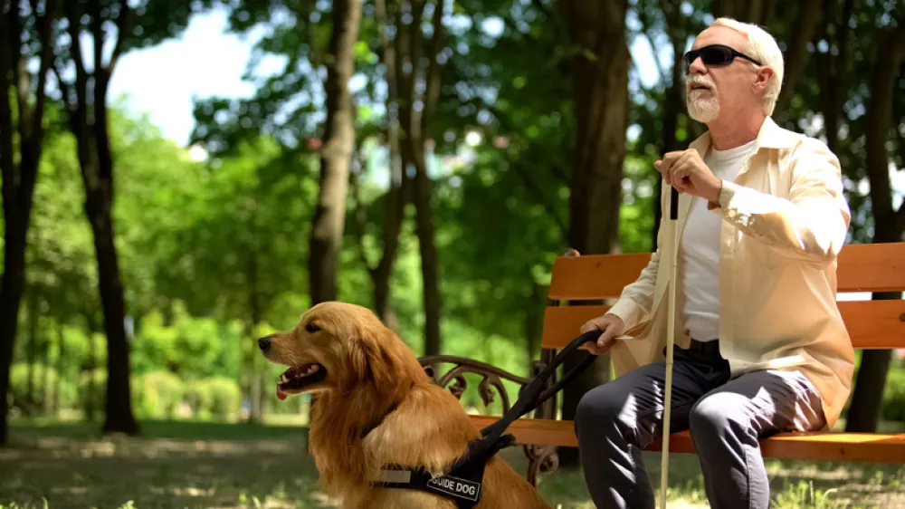 Foto de un señor con ceguera acompañado con el perro y  sentados en un parque