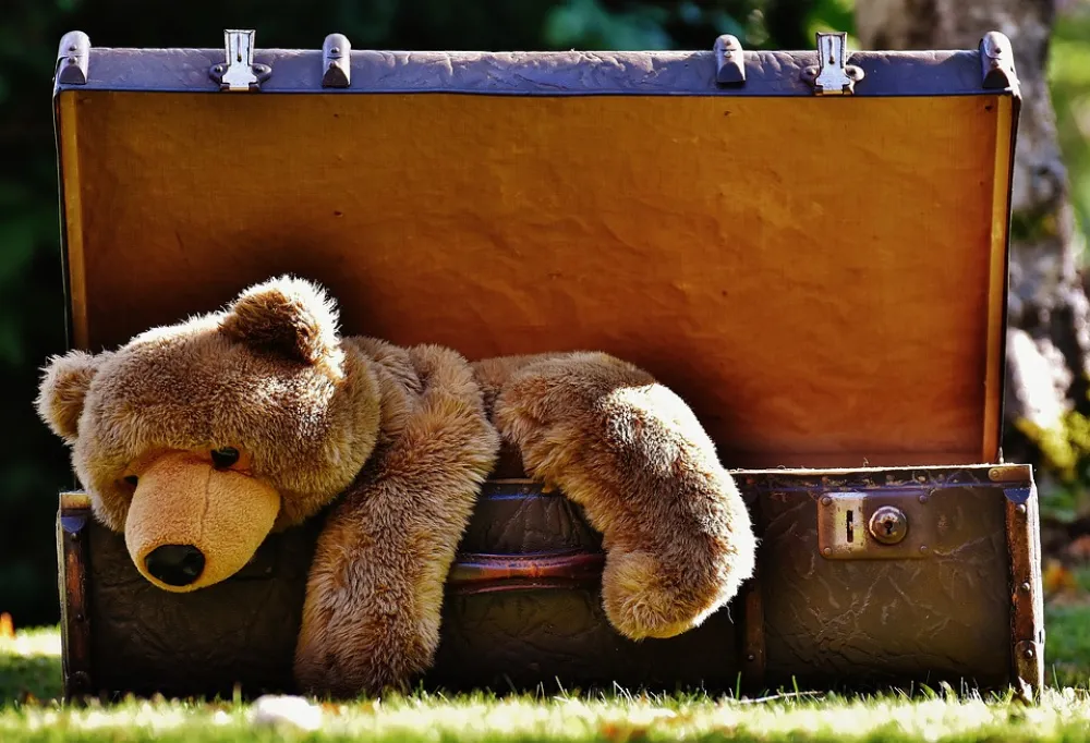 Foto de un oso de peluche metido en una maleta antigua